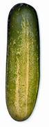চিত্র:Cucumber.jpg
