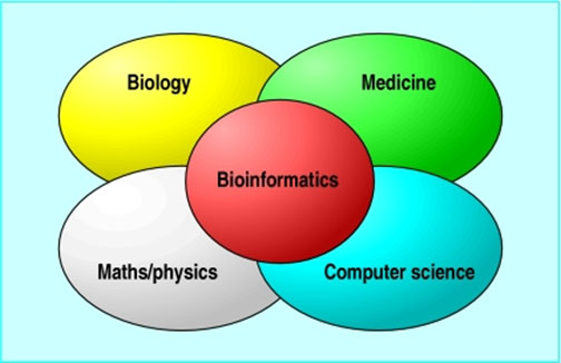 চিত্র:Bioinformatics.jpg