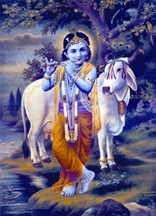 চিত্র:Krishna.jpg