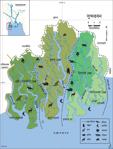 চিত্র:SundarbansThe.jpg