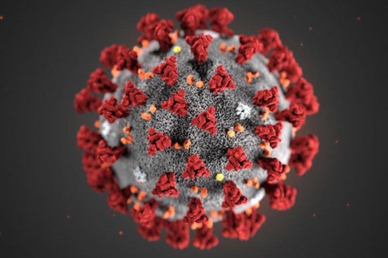 চিত্র:Coronavirus.jpg