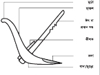 চিত্র:PloughArt1.jpg