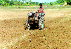 চিত্র:Farming01.jpg