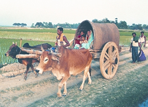 চিত্র:BullockCart.jpg