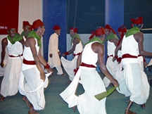 চিত্র:JariGan.jpg