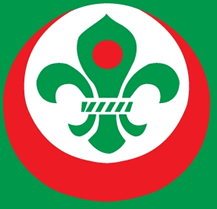 চিত্র:BangladeshScouts.jpg