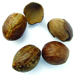 চিত্র:Nutmeg.jpg