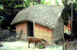 চিত্র:ArchitectureRural4.jpg