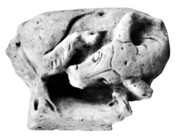 চিত্র:MainamatiBuffalo.jpg