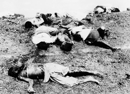 চিত্র:WarOfLiberationGenocide1971.jpg