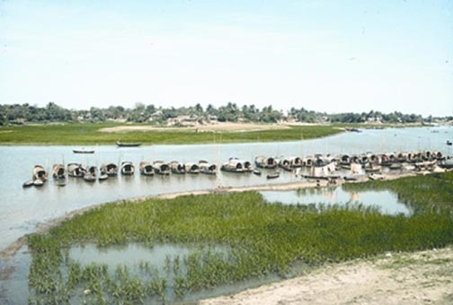চিত্র:Bedey2.jpg
