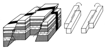 চিত্র:ThrustFault1.jpg