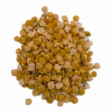 চিত্র:Kheshari.jpg