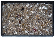 চিত্র:RocksAndMinerals2.jpg