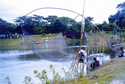 চিত্র:FisheriesInlan3.jpg