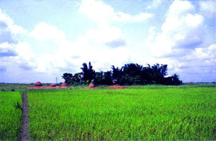 চিত্র:ArchitectureRural1.jpg