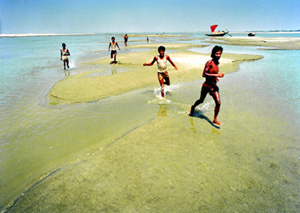 চিত্র:Char1IslandChar.jpg