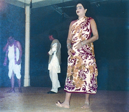চিত্র:FolkCulture2.jpg