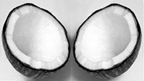 চিত্র:Coconut.jpg