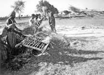 চিত্র:AgricultureThreshing3.jpg