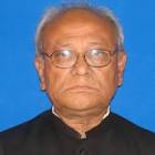চিত্র:AliShawkat.jpg