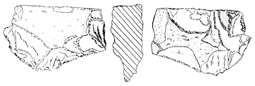 চিত্র:Prehistory03.jpg