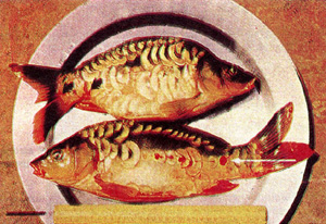 চিত্র:FisheriesParasite.jpg