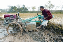 চিত্র:Agriculturepowertiler.jpg
