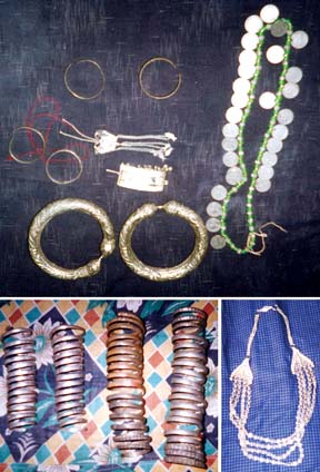 চিত্র:OrnamentsIndigenous.jpg