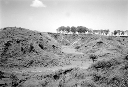চিত্র:SoilDegradation.jpg