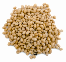 চিত্র:Mashkalai.jpg