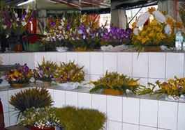 চিত্র:Floriculture.jpg