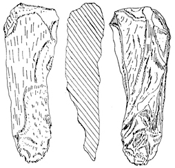 চিত্র:Prehistory06.jpg