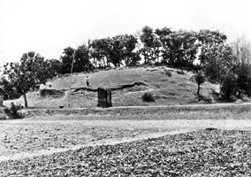 চিত্র:HaludVihara.jpg