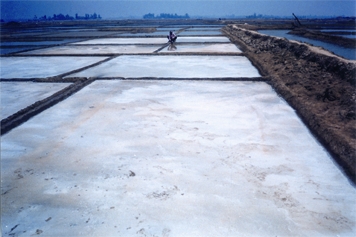 চিত্র:SaltIndustry.jpg