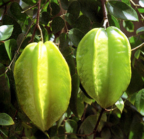 চিত্র:Carambola.jpg