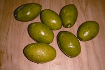 চিত্র:Olive.jpg