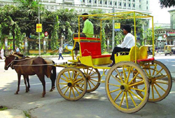 চিত্র:HorseCarriage.jpg