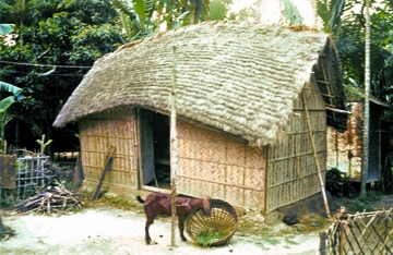 চিত্র:RuralArchitecture4.jpg