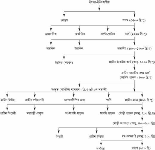 চিত্র:103219Table.jpg