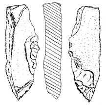 চিত্র:Prehistory11.jpg