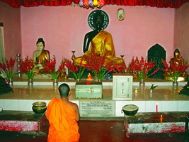 চিত্র:Buddhism.jpg