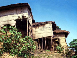 চিত্র:ArchitectureRural2.jpg