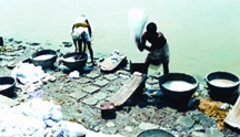চিত্র:Dhopa.jpg