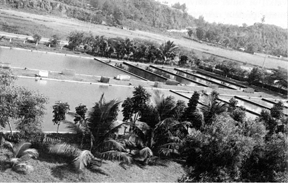 চিত্র:BagnladeshFisheriesResearchInstitute.jpg