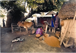 চিত্র:DhekiFarmerFamily.jpg