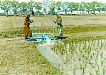 চিত্র:Irrigation2.jpg
