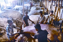 চিত্র:LeatherIndustry.jpg