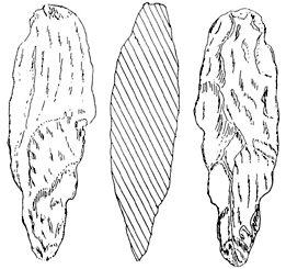চিত্র:Prehistory05.jpg