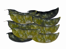 চিত্র:BeanCountry.jpg